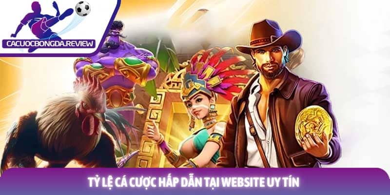 Review nhà cái GA6789: Đánh giá chi tiết sân chơi uy tín nhất 2026 2 Tỷ lệ cá cược hấp dẫn tại website uy tín